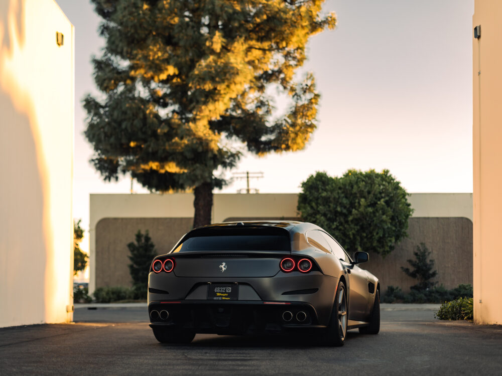 _L2A3684-Edit